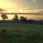 Lever de soleil a la campagne !