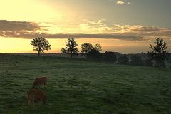 Lever de soleil a la campagne !