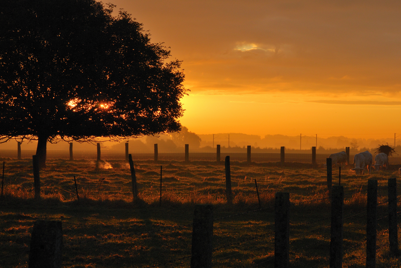 Lever de soleil automnal_2