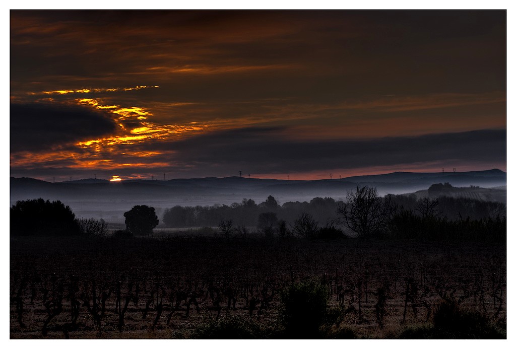 Lever de soleil brumeux