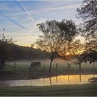 Lever de soleil dans la brume