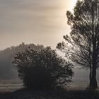 Lever de soleil dans la brume 