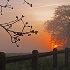 Lever de soleil dans la brume