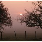 Lever de soleil dans la brume