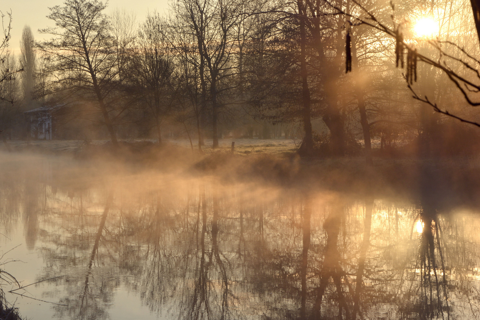 LEVER DE SOLEIL DANS LE MARAIS