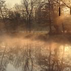 LEVER DE SOLEIL DANS LE MARAIS