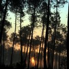 lever de soleil dans les landes