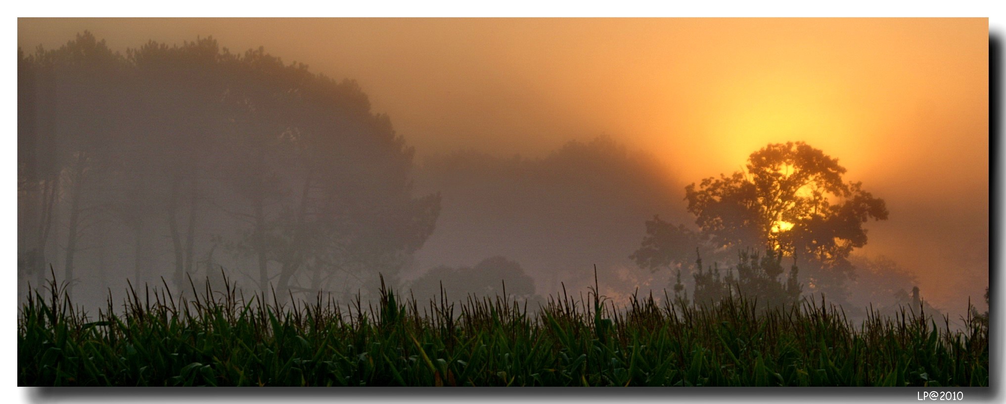 Lever de soleil dans les Landes