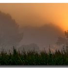 Lever de soleil dans les Landes