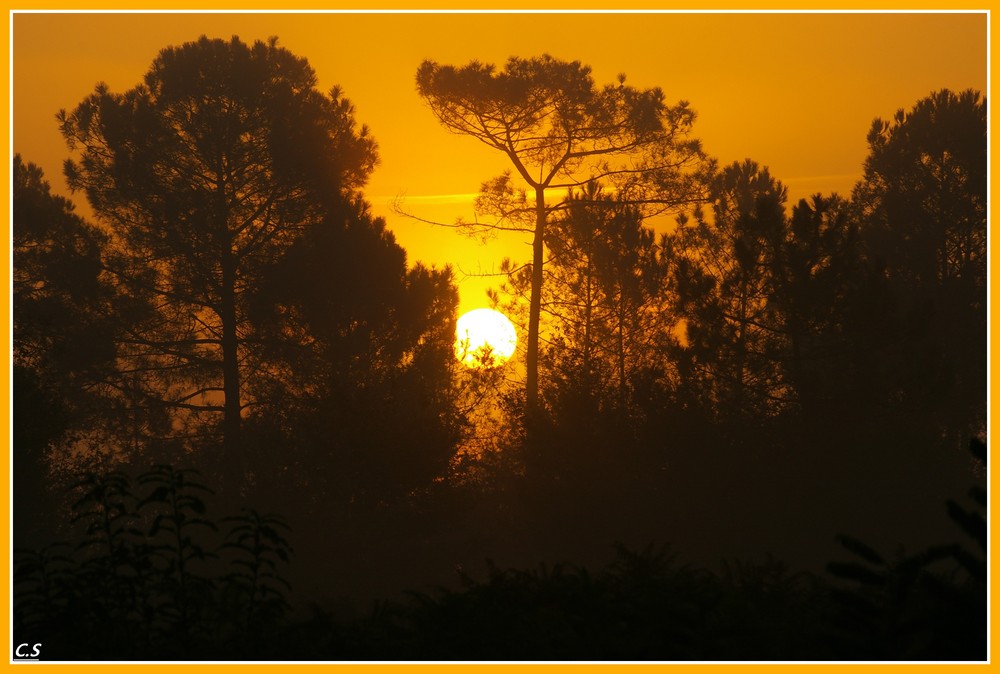 lever de soleil dans les landes