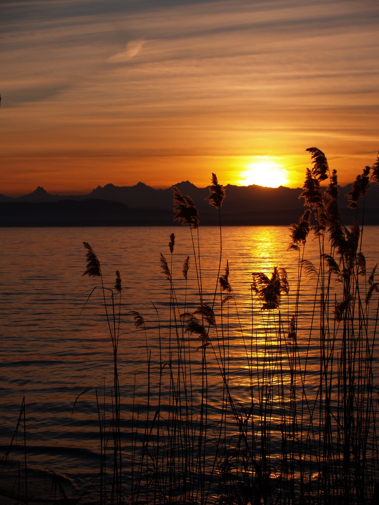 Lever de soleil du 26 décembre 2009