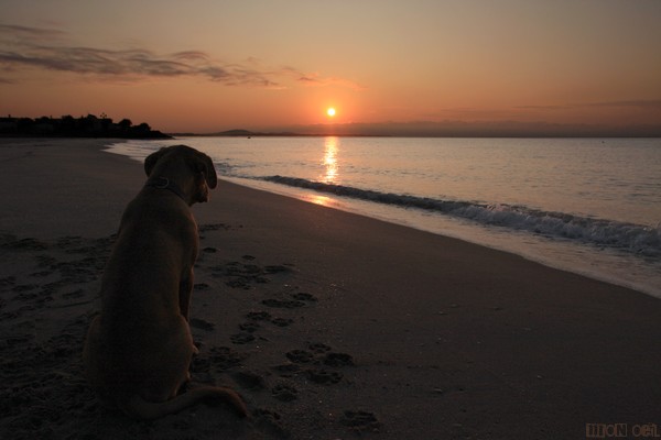 Lever de soleil