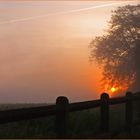 Lever de soleil gersois dans la brume   