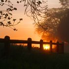 Lever de soleil légèrement brumeux