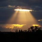 lever de soleil sur le Beaujolais