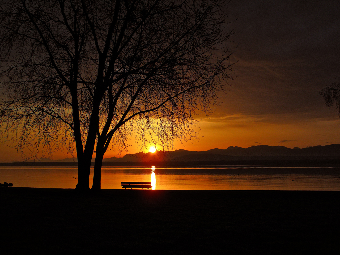 Lever de Soleil sur le Lac Léman un jour d'hiver.