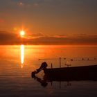 Lever de soleil sur le Léman depuis le port de Tannay