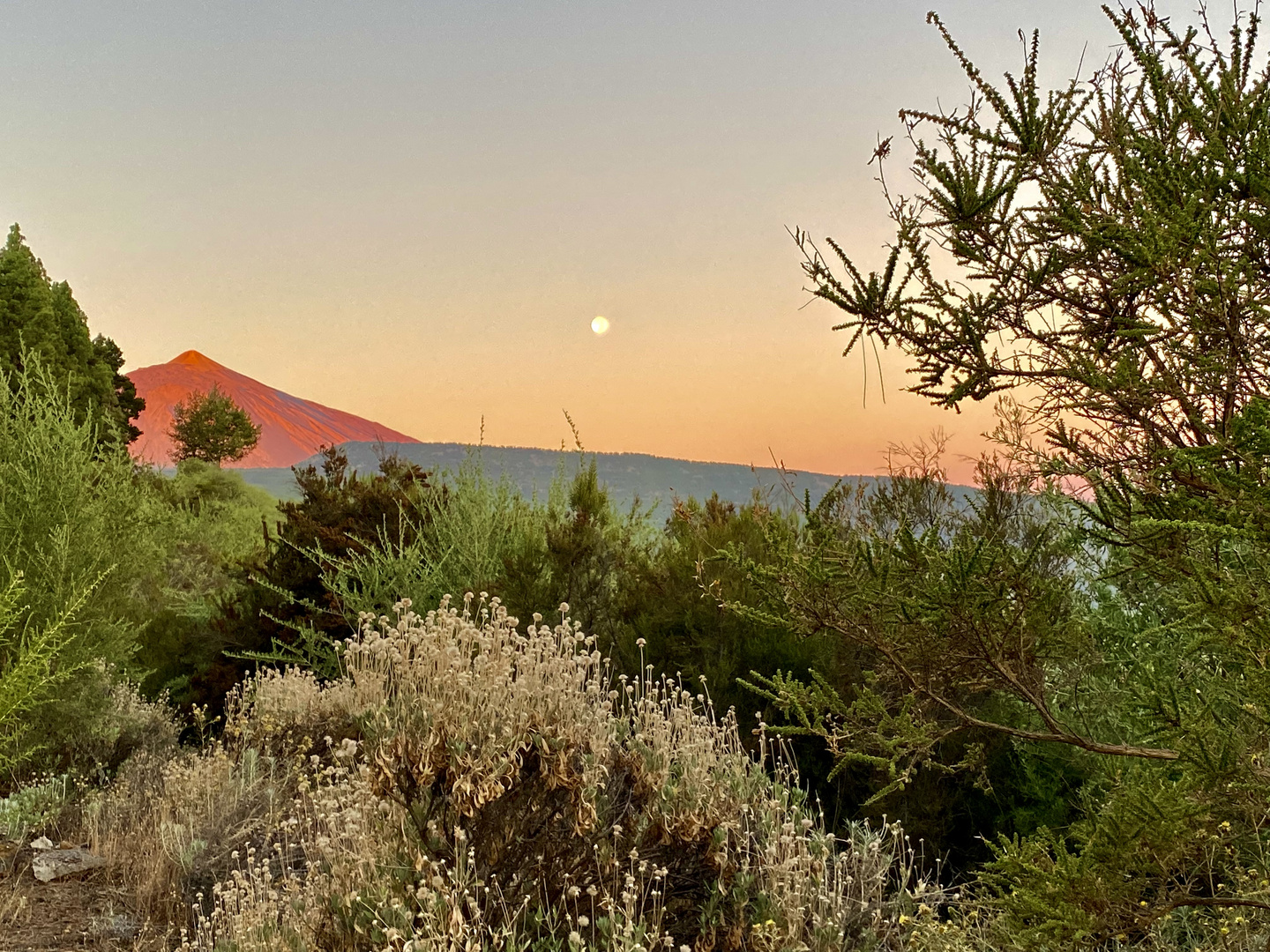 Lever de soleil sur le Teide 