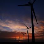 lever de soleil sur les éoliennes