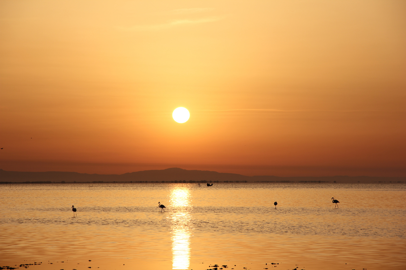 lever de soleil sur ma camargue