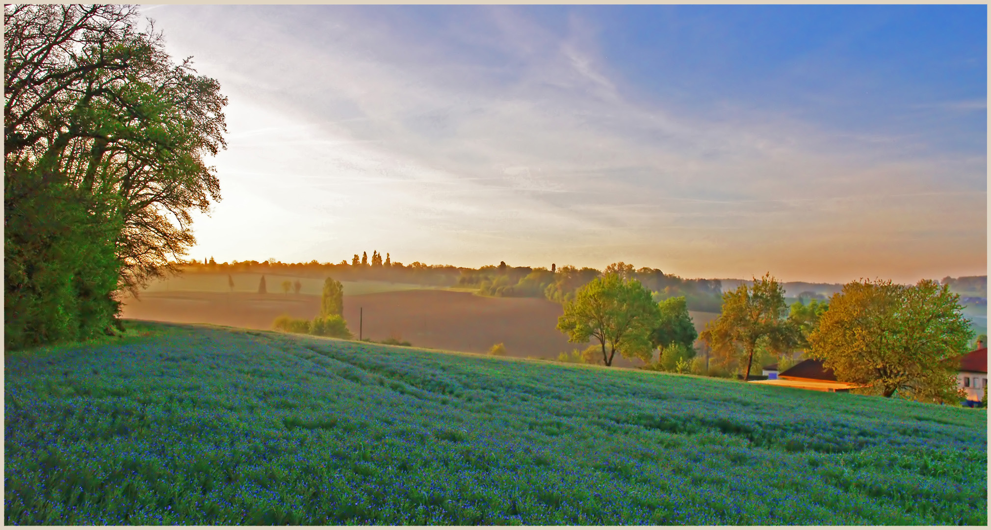  Lever de soleil sur un champ de lin gersois