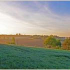  Lever de soleil sur un champ de lin gersois