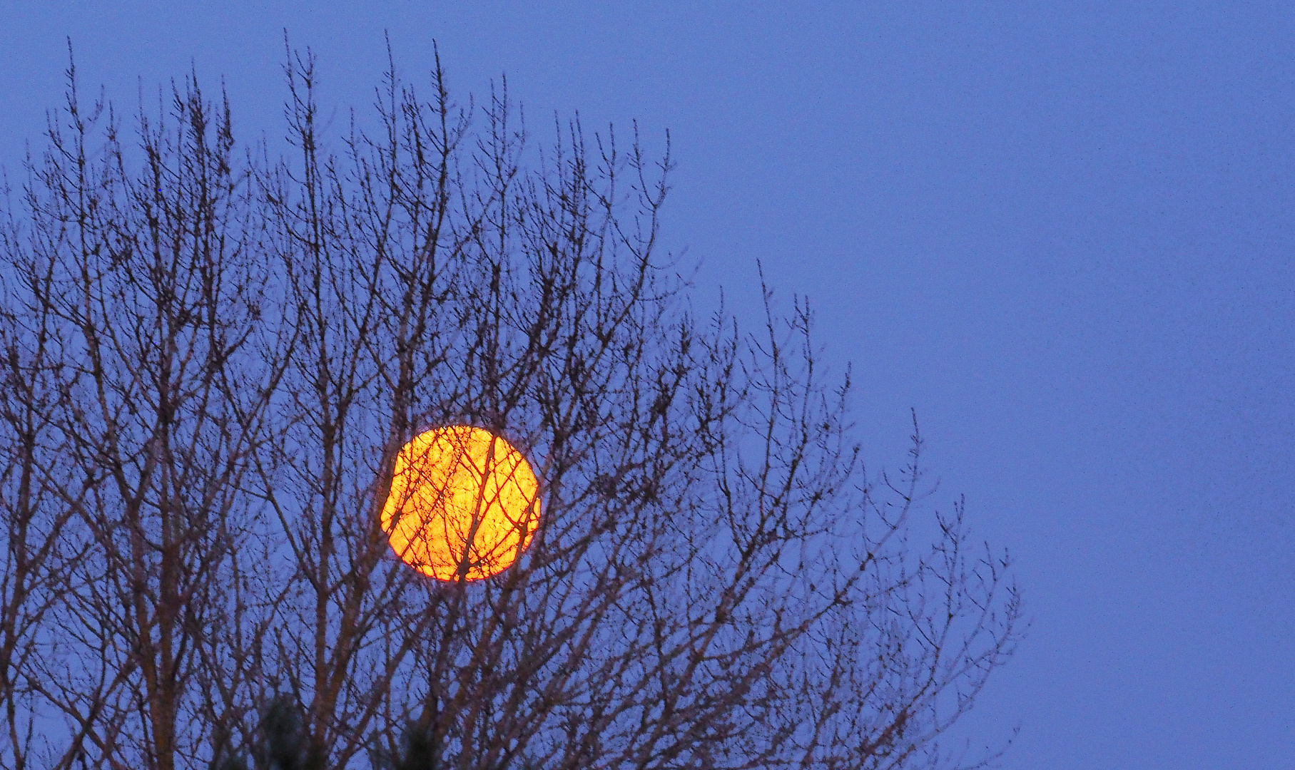 Lever de super lune