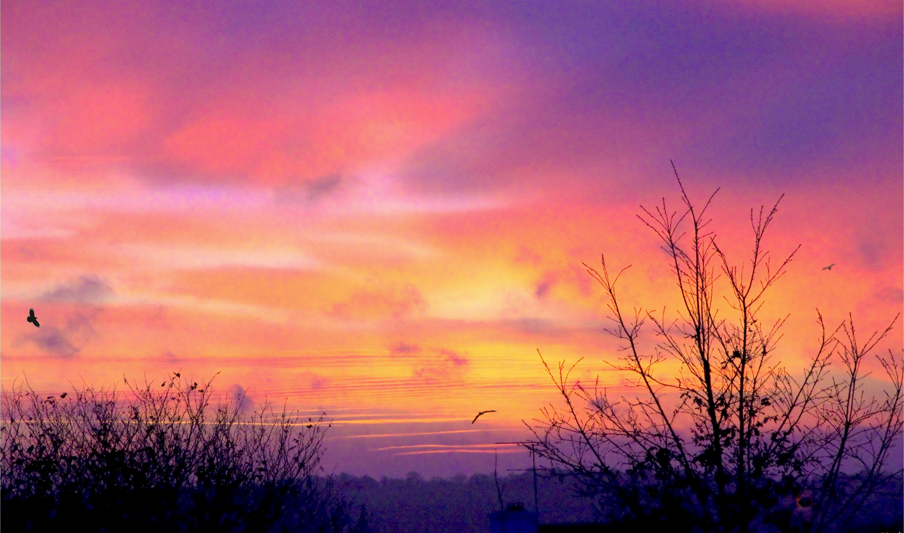  Lever du jour photo et image nature, ciel, bretagne Images