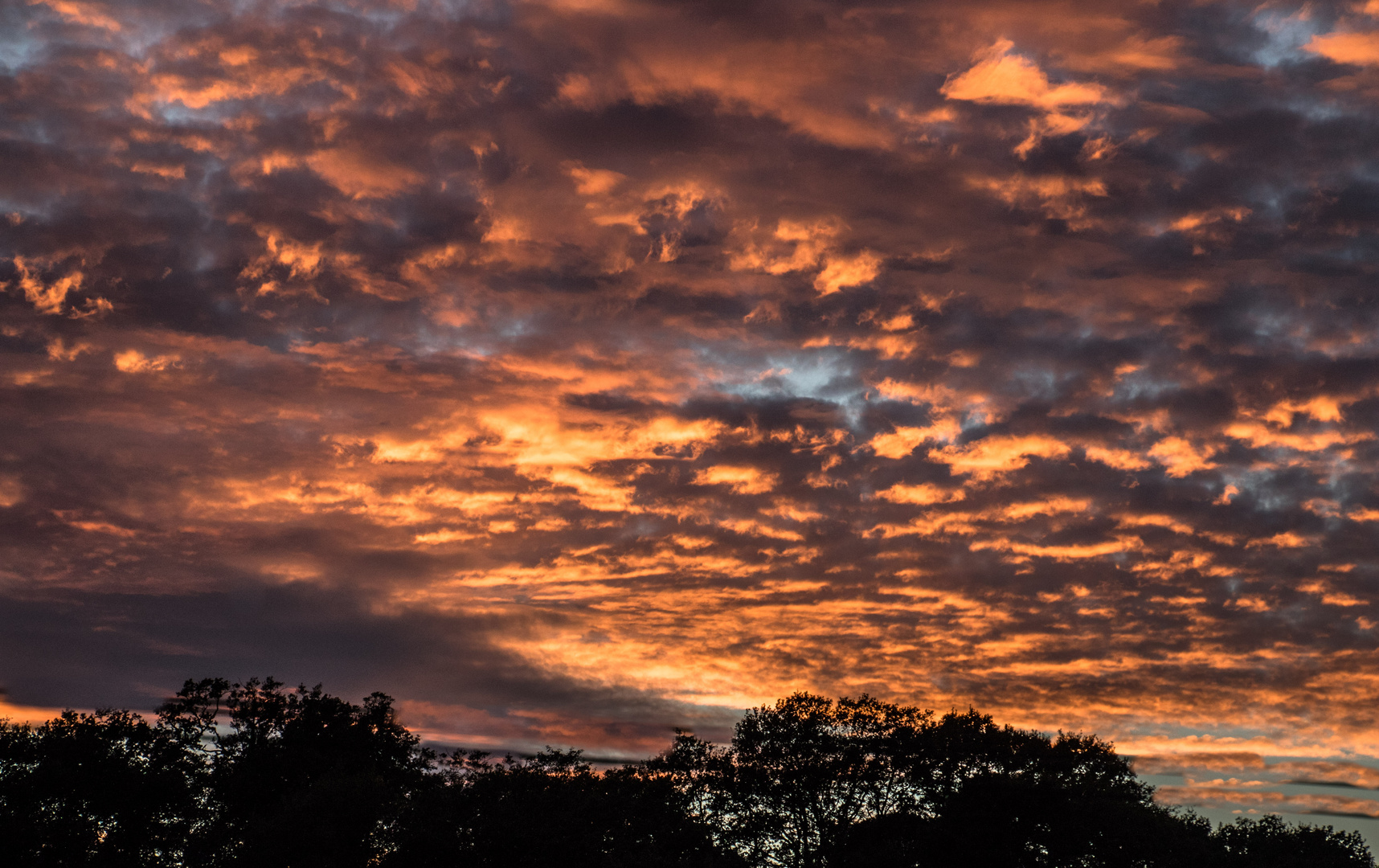 LEVER DU JOUR photo et image nature, paysage, ciel Images