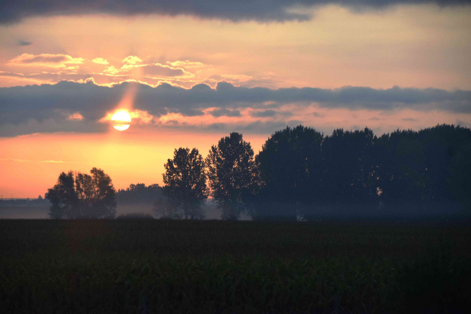 lever du jour en Sologne