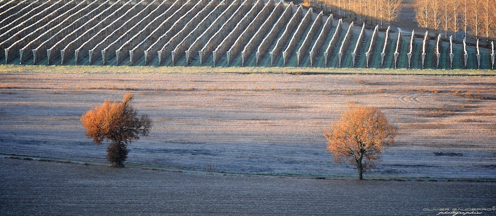 Lever du jour sur la campagne