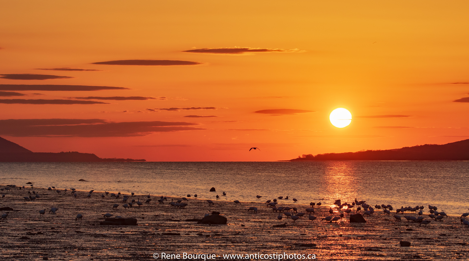 Lever du jour sur le fleuve SaintLaurent, 8 mai, 5h20 photo et image