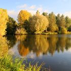 Lever du jour sur les marais