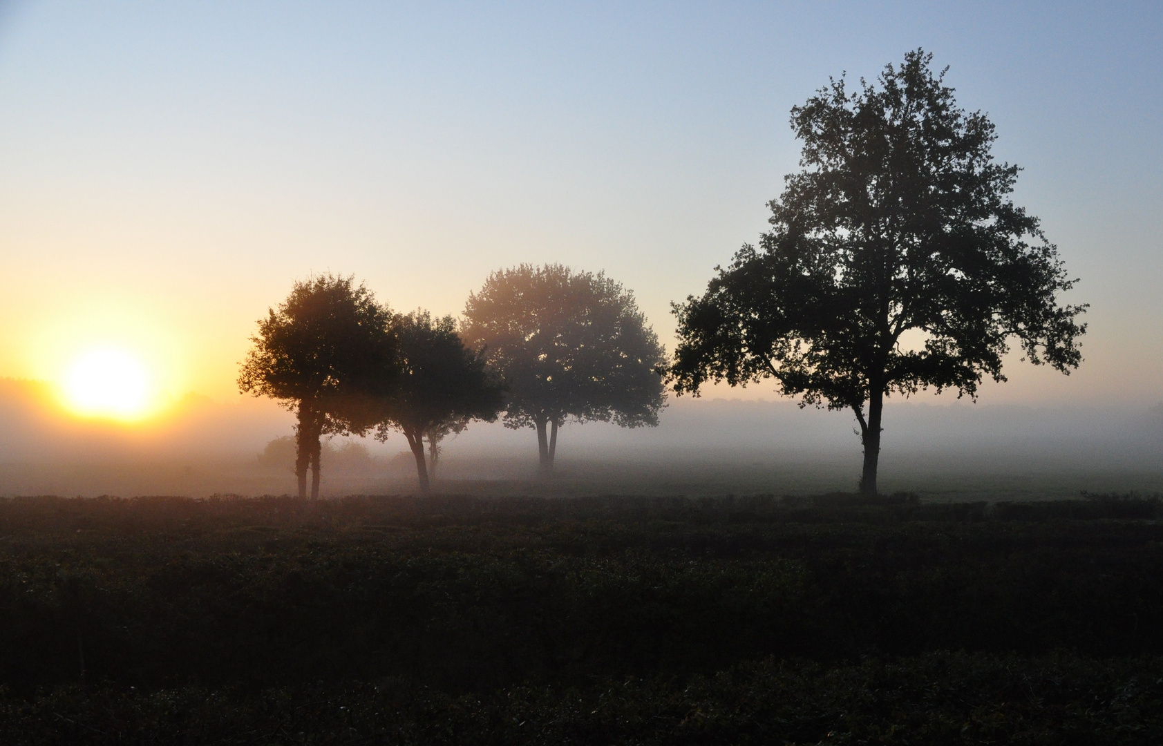 lever du soleil