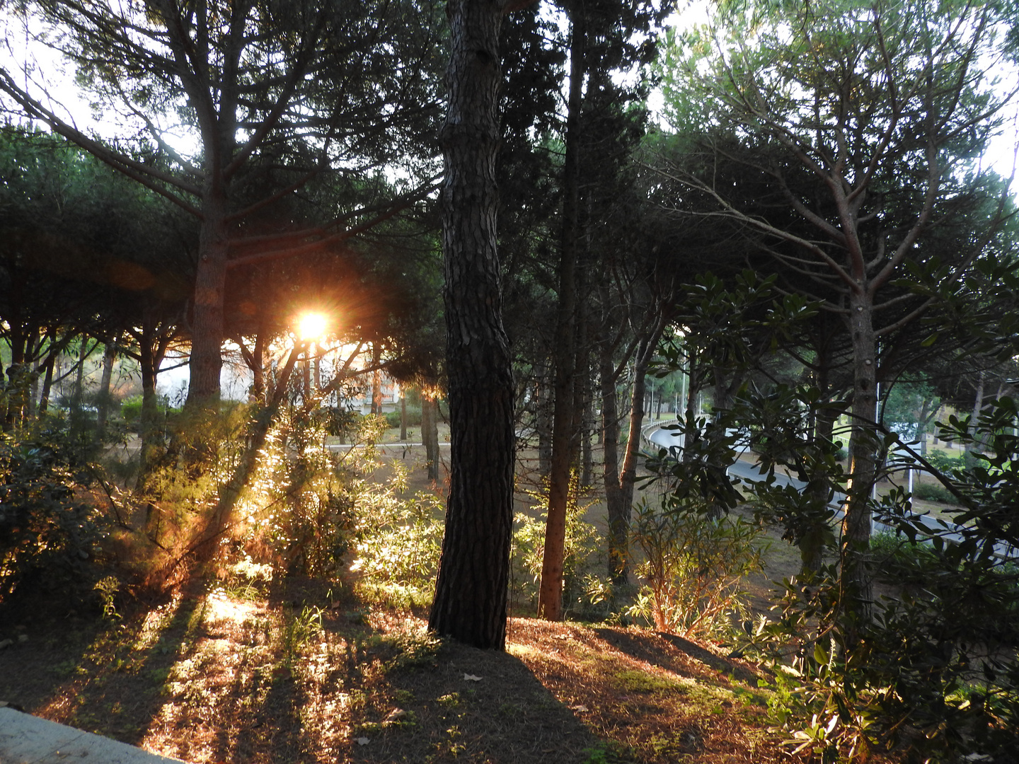 lever du soleil à la grande motte