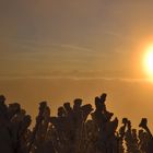 lever du soleil dans les Alpes