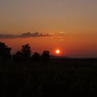 Lever du soleil dans les vignes de Salles d'Aude (11)