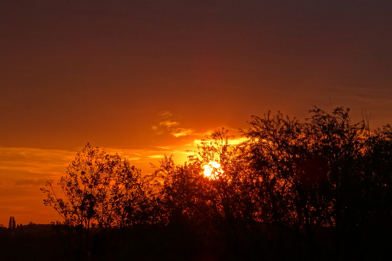 Lever soleil flamboyant