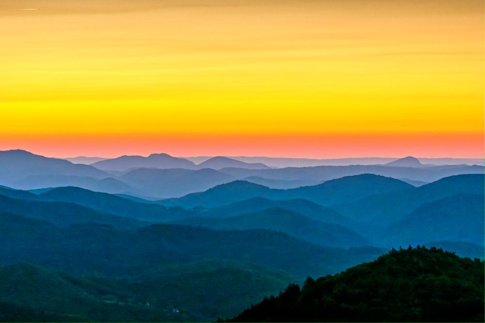 Lever sur les avants mont ( Héraultais )