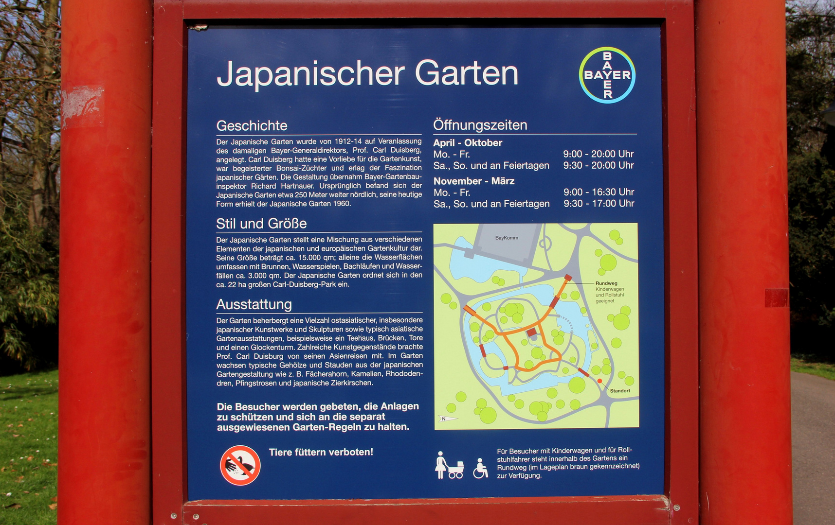 Leverkusen - Bayer, Japanischer Garten, beginnende Blüte