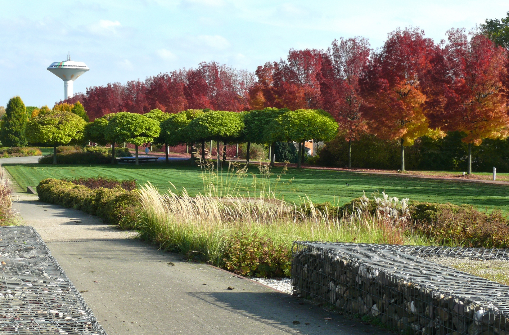 Leverkusen - Herbst im Neulandpark (2)