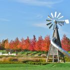 Leverkusen - Herbst im Neulandpark