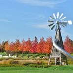 Leverkusen - Herbst im Neulandpark