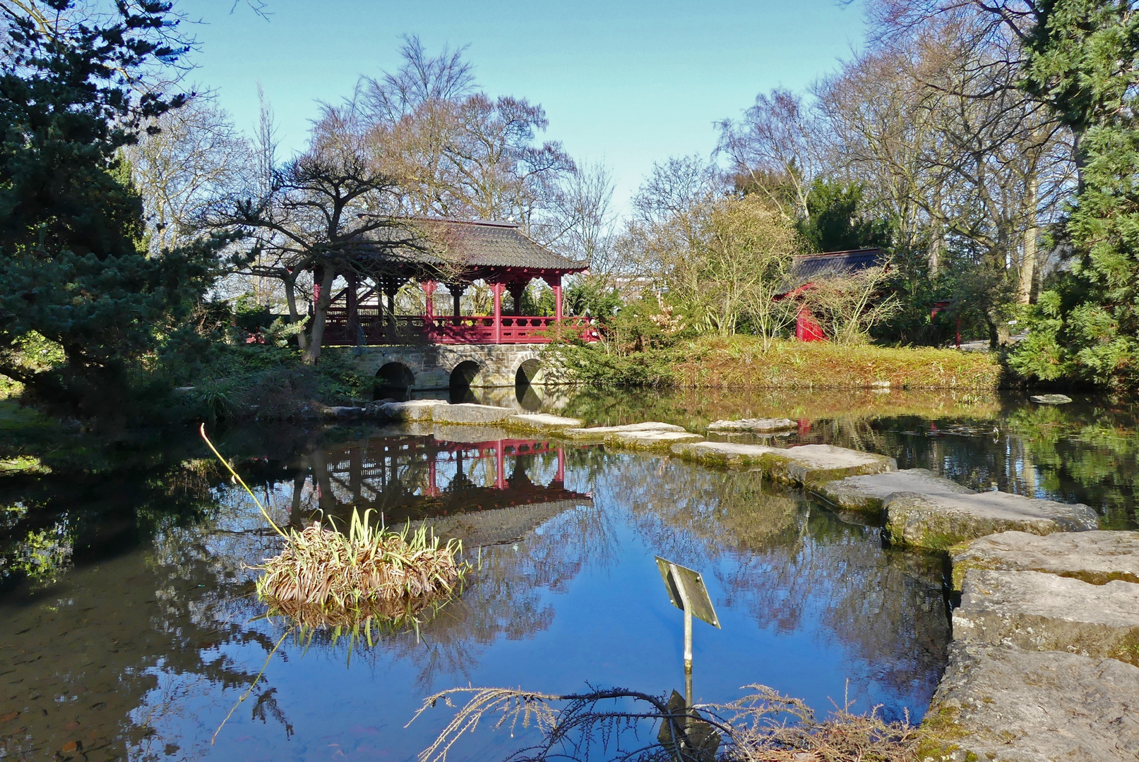 Leverkusen - Heute Morgen im Japanischen Garten