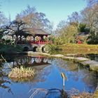 Leverkusen - Heute Morgen im Japanischen Garten