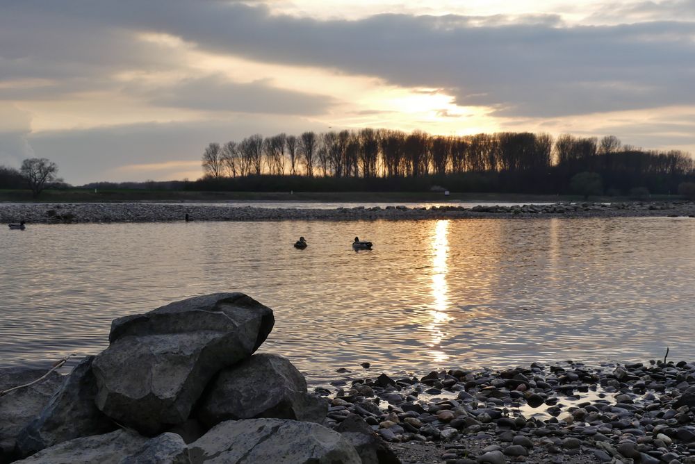 Leverkusen-Hitdorf - Heutiger Sonnenuntergang