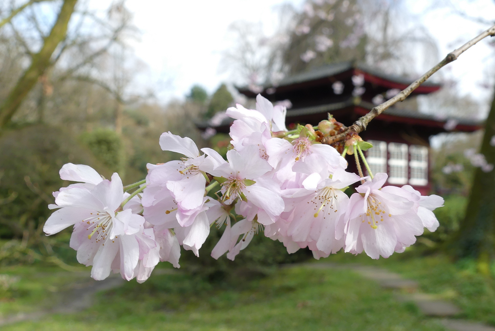 Leverkusen - Im Japanischen Garten