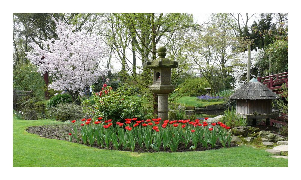 Leverkusen - Japanischer Garten (3)