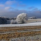 Leverkusen Kump