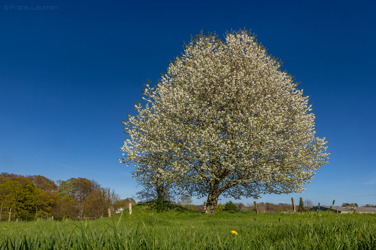 Leverkusen Neuboddenberg